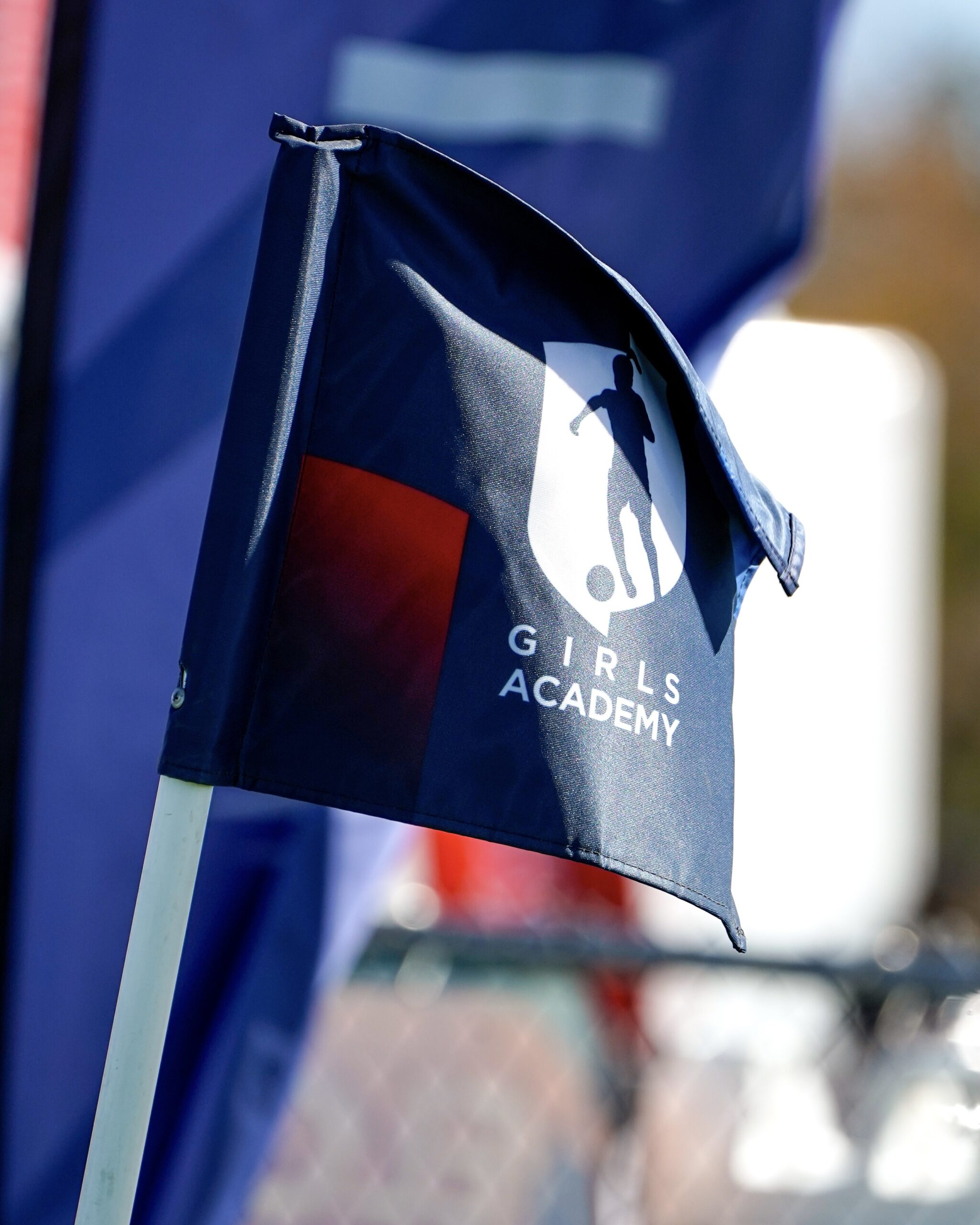 ga flag photo (1)